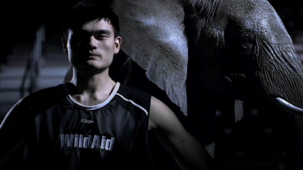Yao Ming fights to end ivory trade