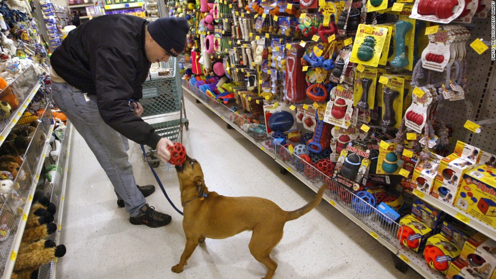 petsmart upland