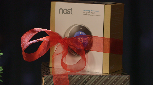 smart home nest