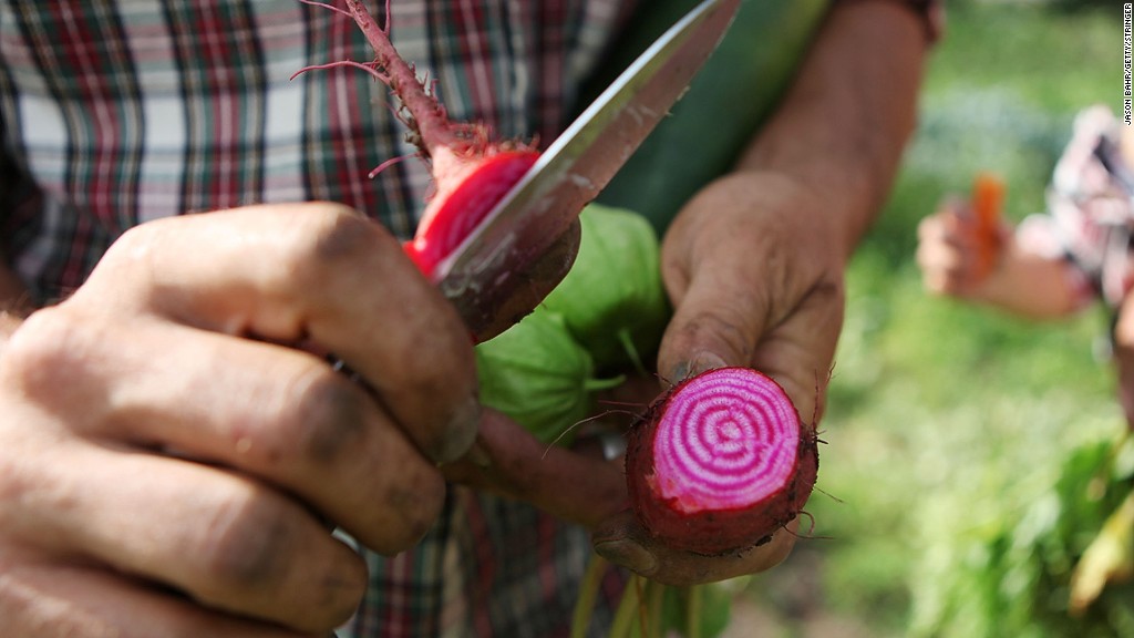 foodtrend_radish