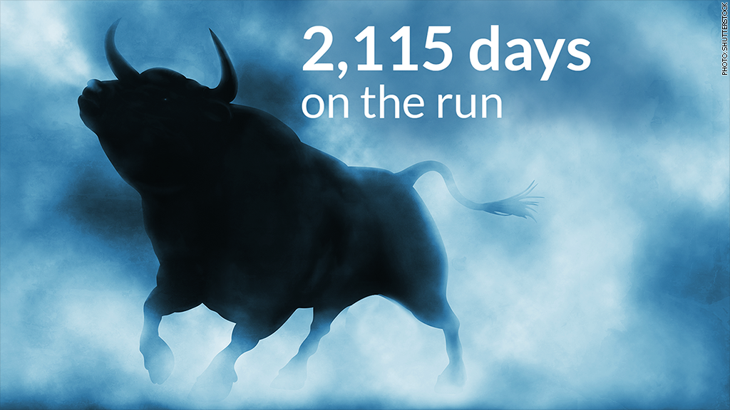 bull gallery on the run 2115