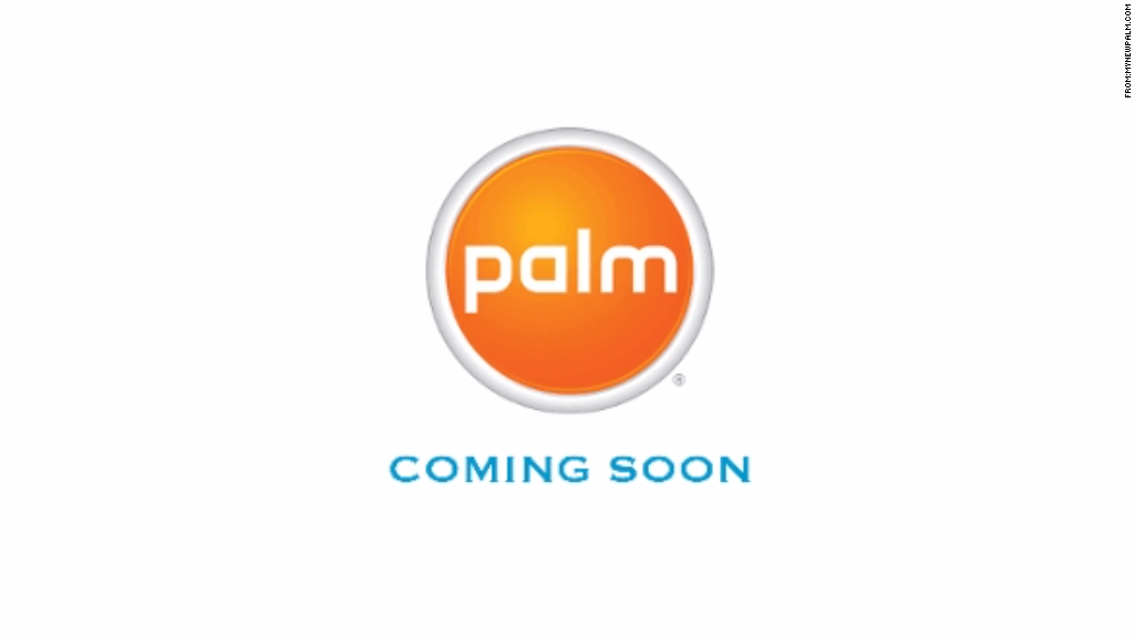 palm