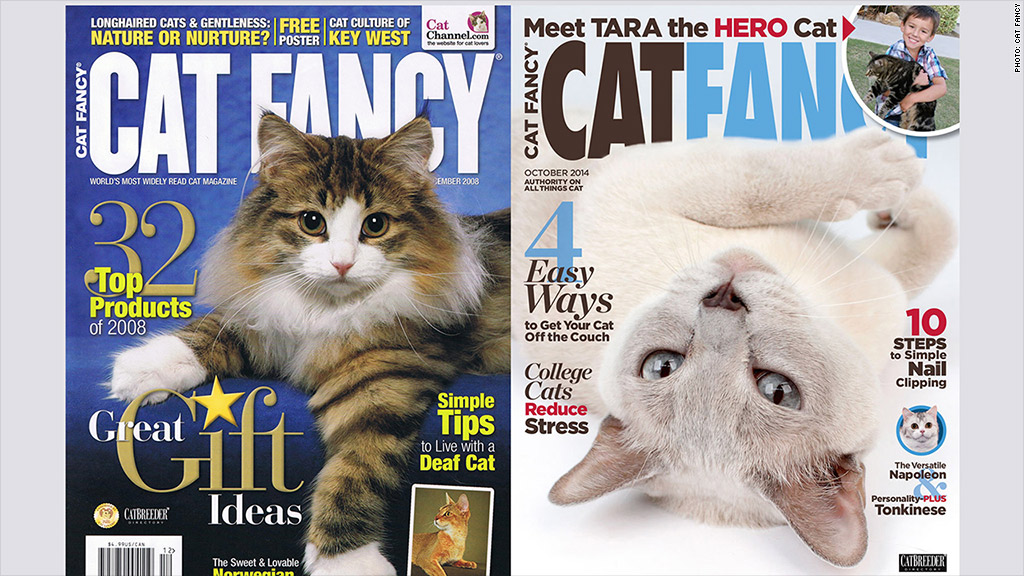 cat fancy magazine