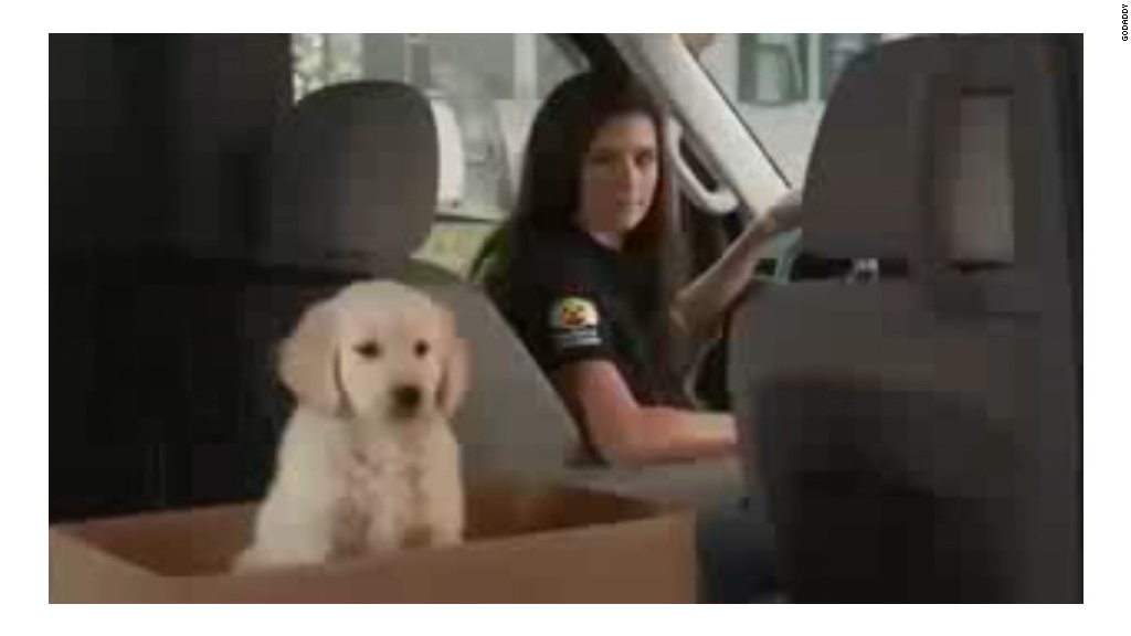 GoDaddy pulls puppy ad after backlash