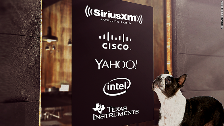 dogs of nasdaq