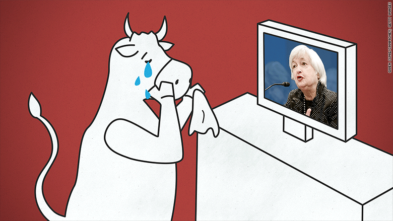 crying bull yellen