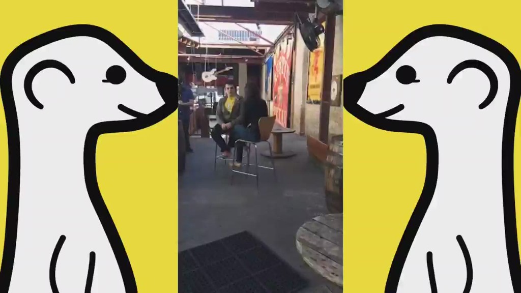 Instantly stream your life with Meerkat