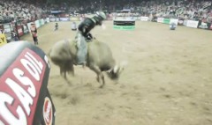 24 hours with a professional bull rider