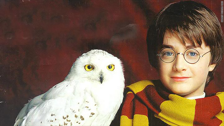 Harry Potter tour owls 'distressed,' PETA claims