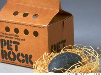 Sad Day For Pet Rock Owners