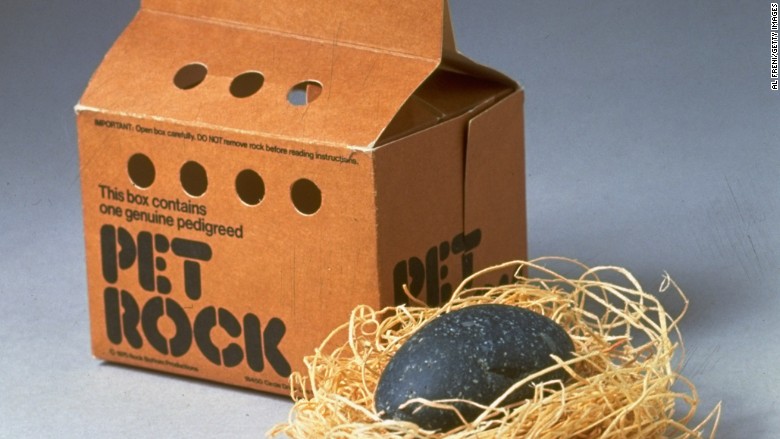 pet rock