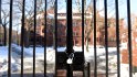Harvard rejects about 95% of applicants
