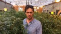 24 hours with a marijuana farmer 
