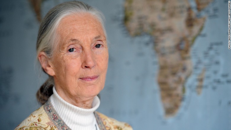 jane goodall