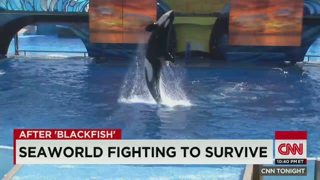 Should there still be a SeaWorld?