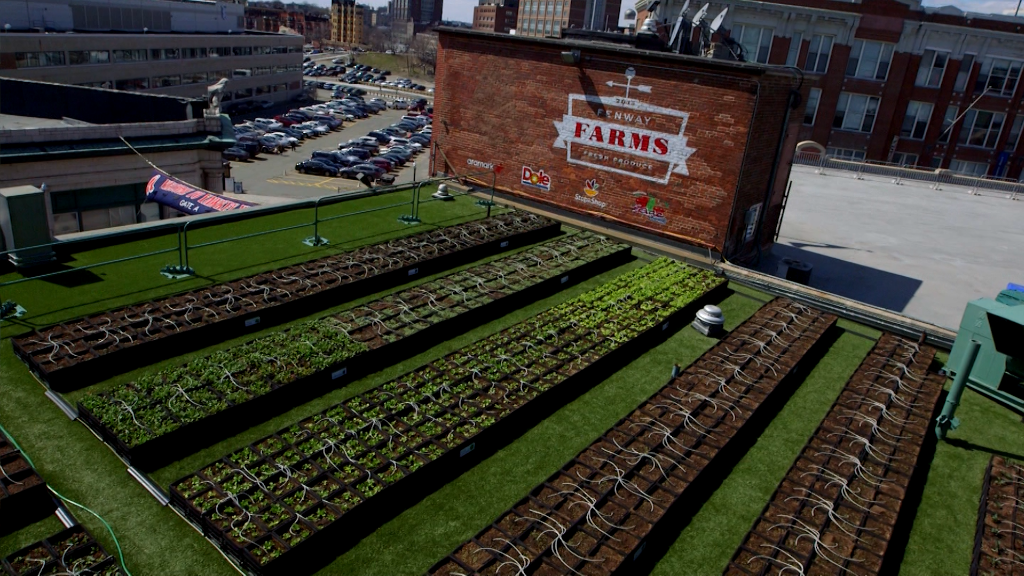 There's a secret garden on Fenway's roof