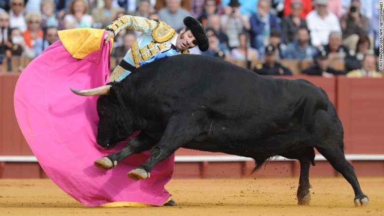 spain bull fight