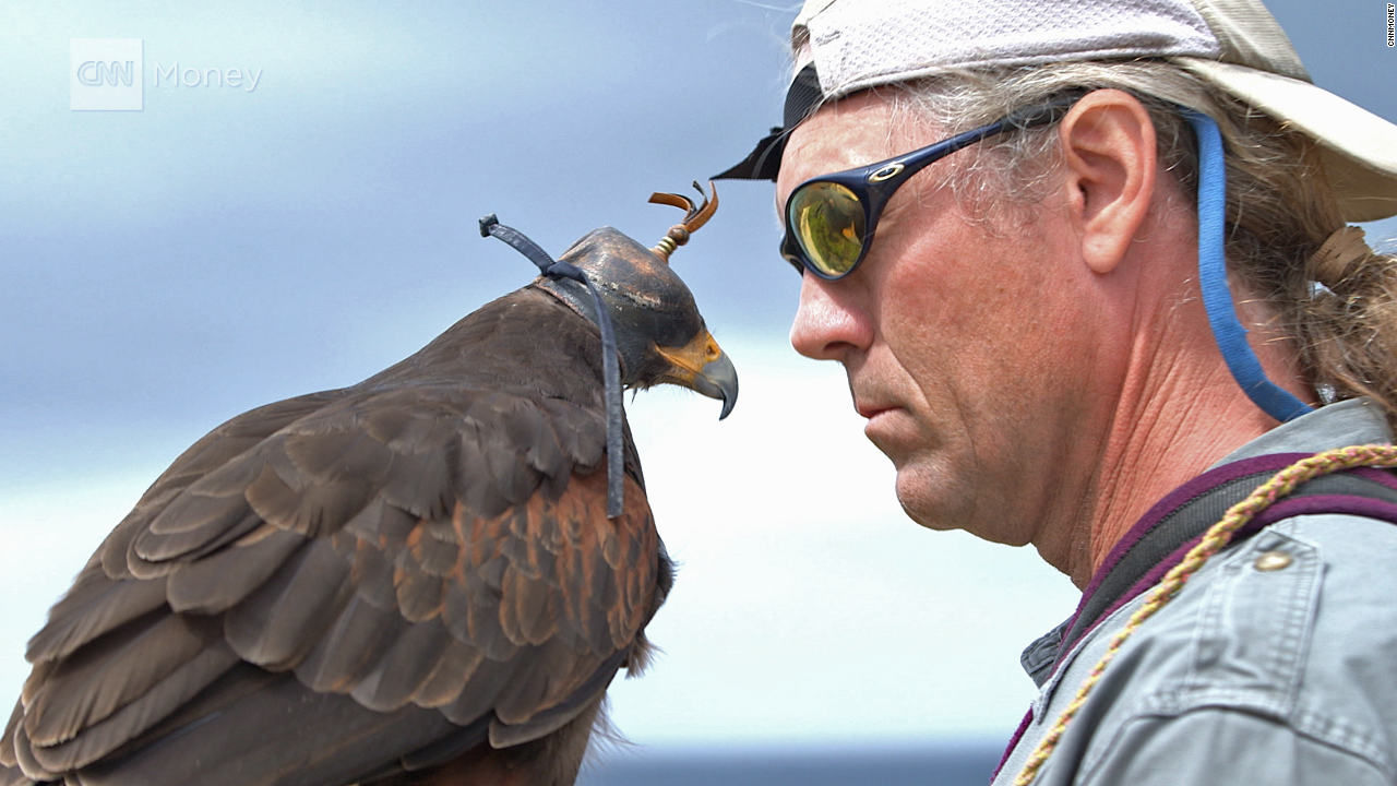 I Get Paid To Train Birds Of Prey Video Personal Finance