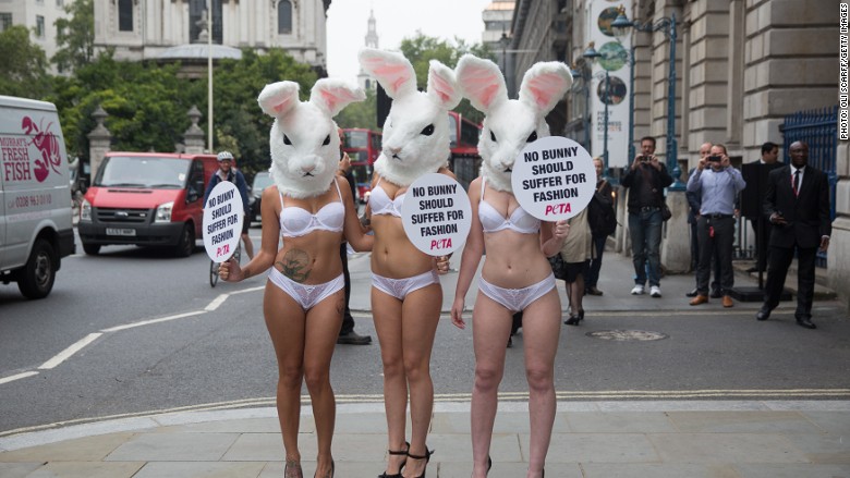 peta fur protest 