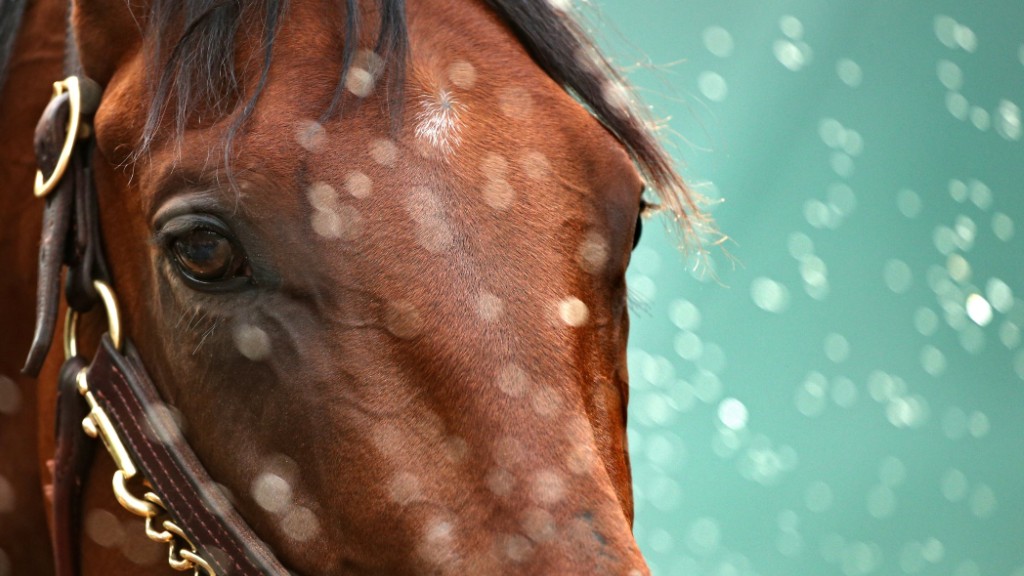 Why American Pharoah wins without the triple crown