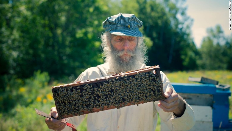 burt shavitz bees 