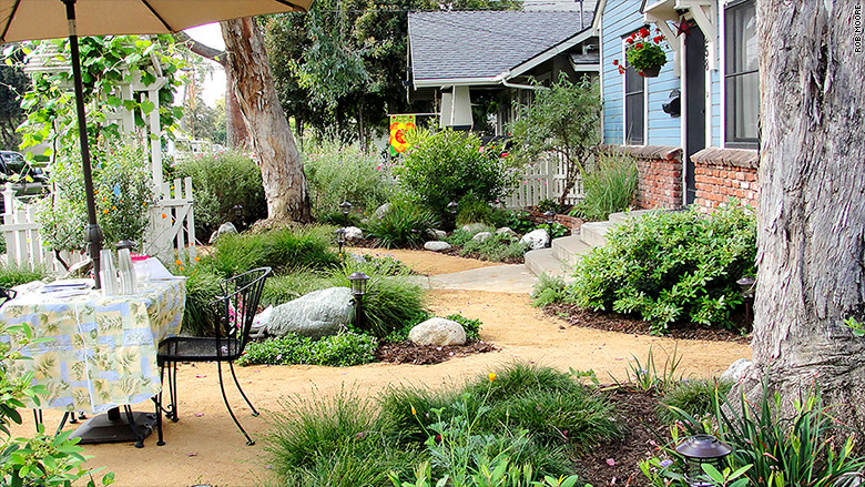 california landscaping lush backyard