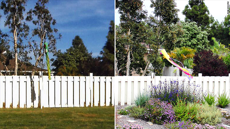 california landscaping before after