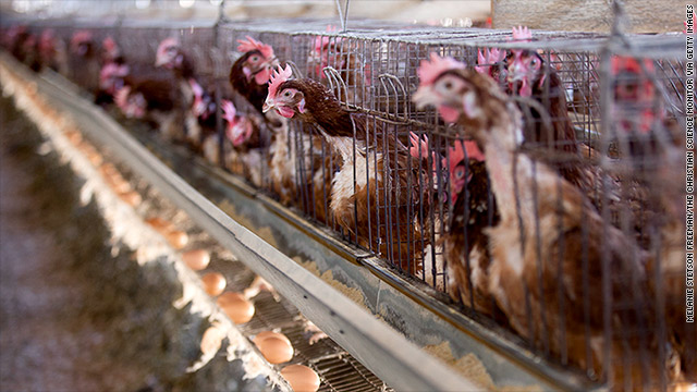 Bill Maher To Costco Free The Hens Already