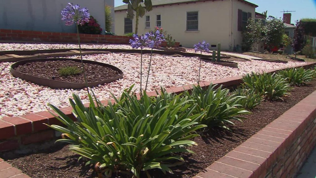 Californians plant drought-friendly landscapes