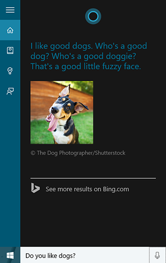 cortana joke 1