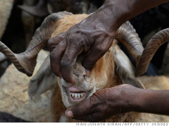 E-Commerce In India Now Includes Goat Sales