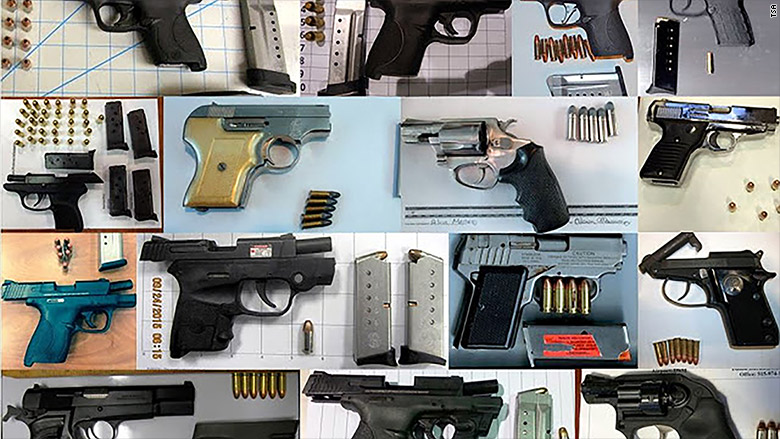 tsa guns