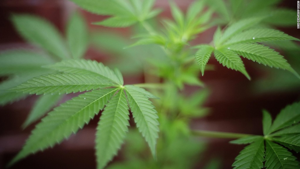 Legal marijuana sales tripled in 2015