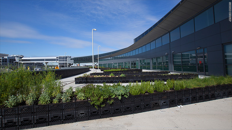 jetblue farm jfk 