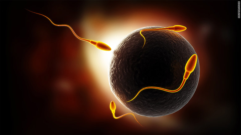 The Sperm and the Egg