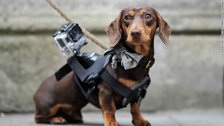 Is GoPro doomed? Stock has been a huge dog