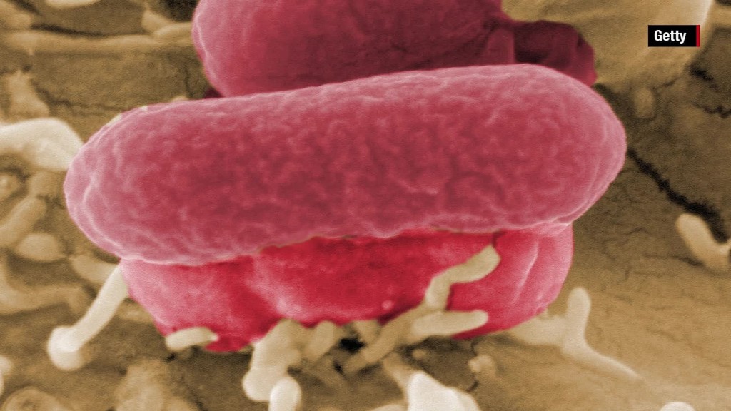 The dangers of E. coli