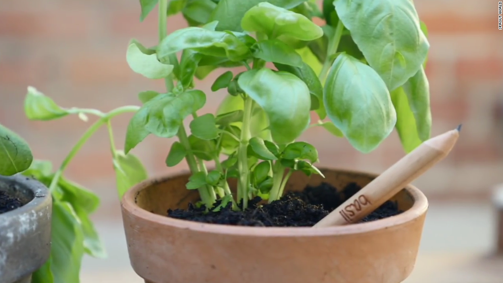 These pencils sprout vegetables