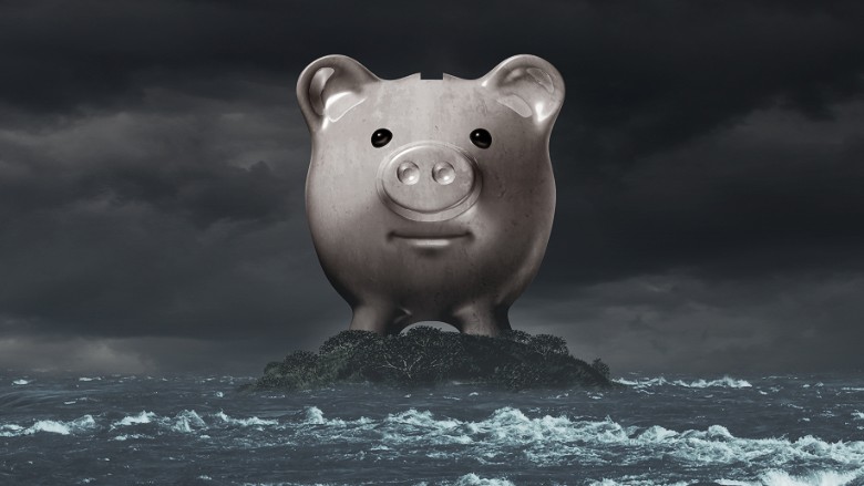 piggy bank financial crisis