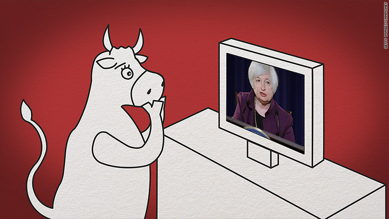 bull watching yellen speak