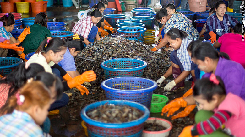 thailand shrimp