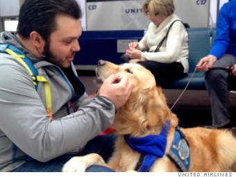 United airlines service store dog