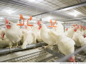 Dollar General reverses course on cage-free eggs