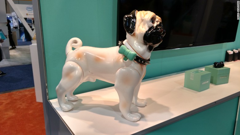 ces 2016 wonderwoof