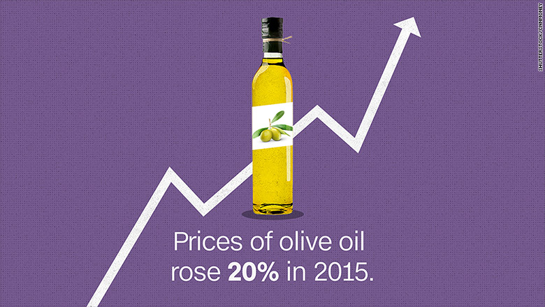 olive oil price