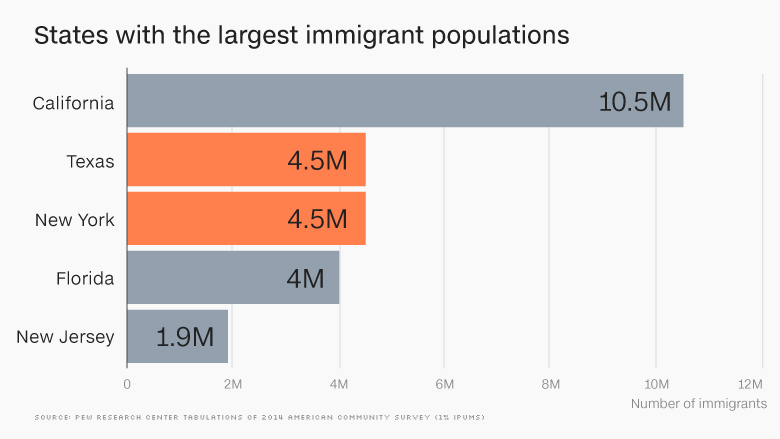 largest immigration population