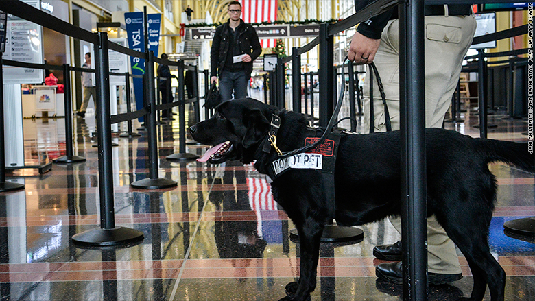 TSA canine unit