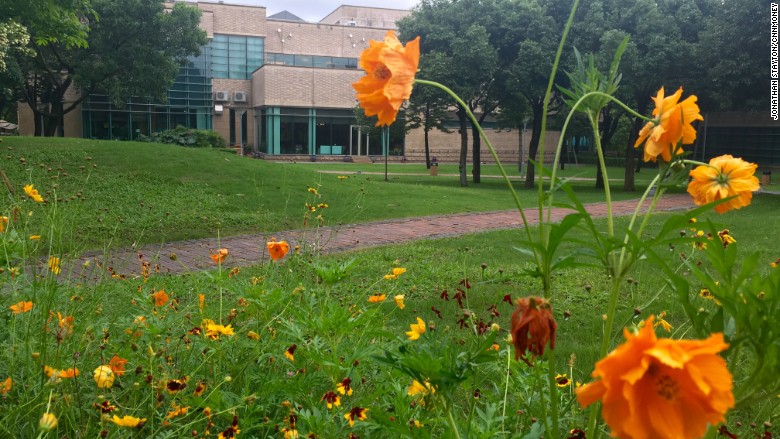 huawei campus greenery