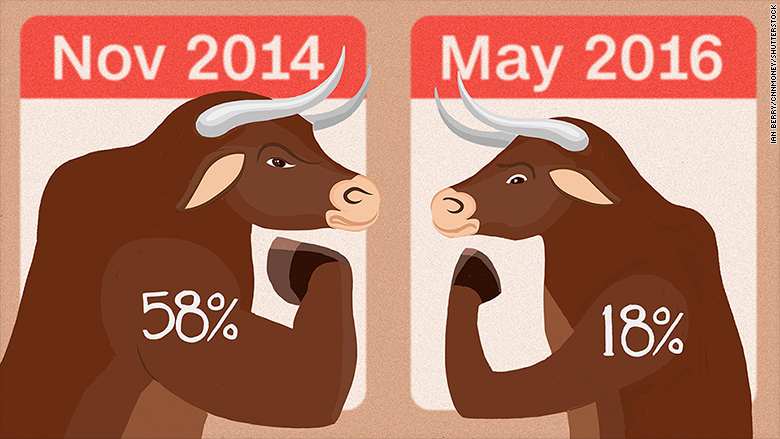 vanishing bull investors