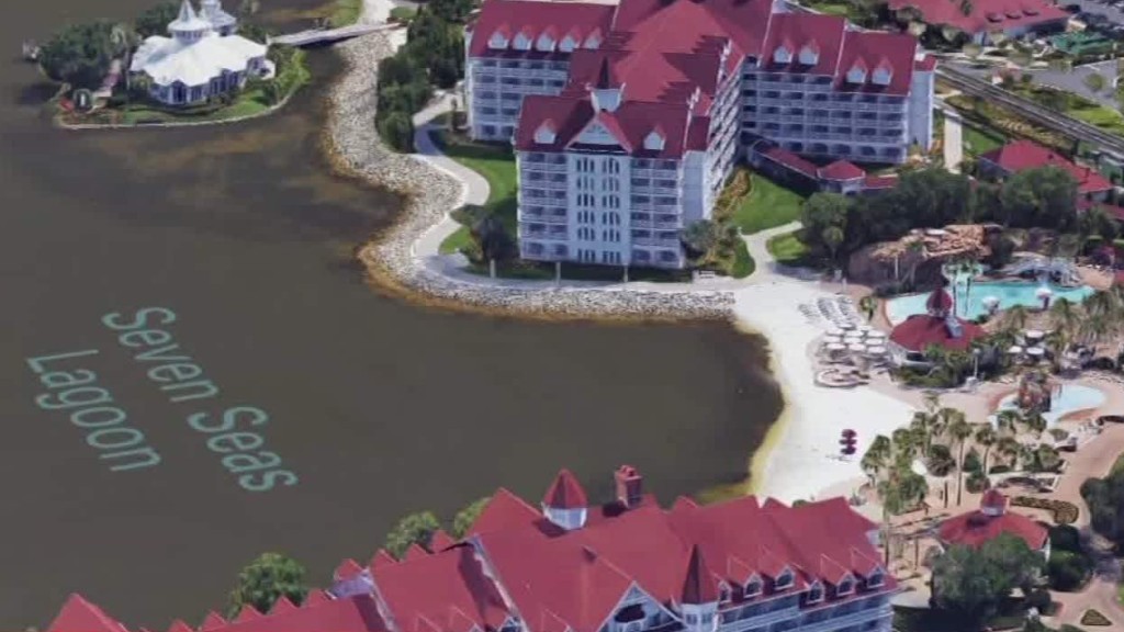 Alligator snatches toddler wading in Disney lagoon
